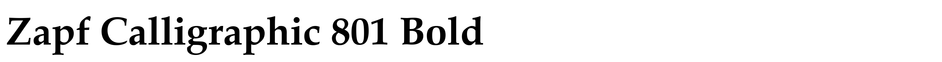 Zapf Calligraphic 801 Bold